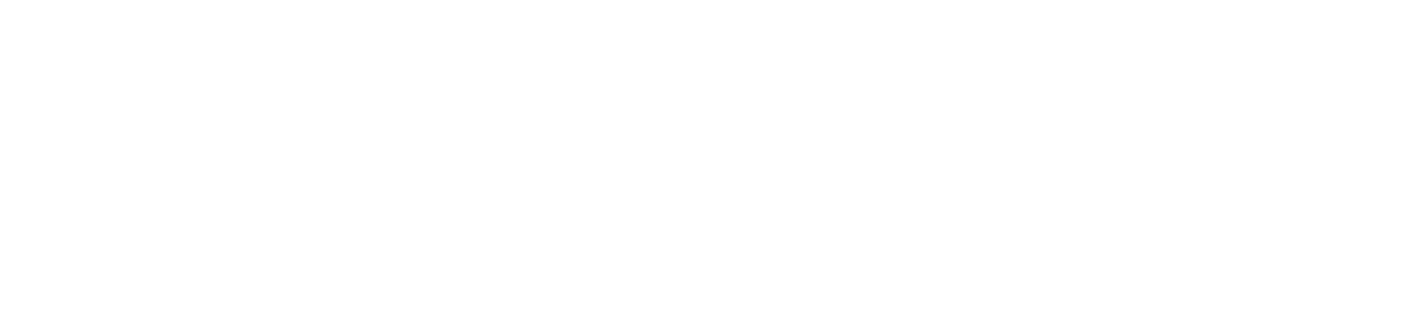 s8 logo_RGB6